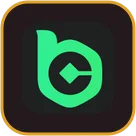BC.GAME logo